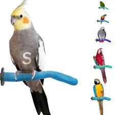 Safety Pumice Perch - Trims Nails and Beak - Promotes Healthy Feet - Safe Non...