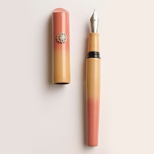 Wancher NOTO Urushi Fountain Pen Toki Iro Bokashi Gold F Nib From Japan