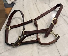 Beautiful Brown Leather Draft Halter With Bronze Metal