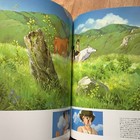 Foto 13 di 20
