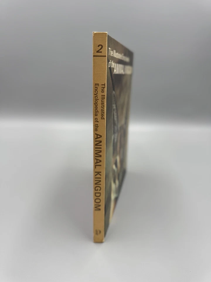 Vintage 1971 The Illustrated Encyclopedia of the Animal Kingdom Volume 2 - Image 3 of 4
