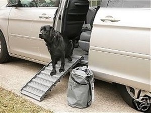 science diet veterinary