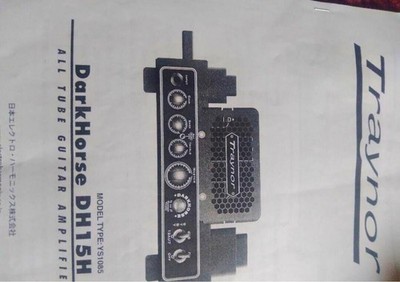 Traynor DH15H Darkhorse 15W Tube Guitar Amp Head Made in Canada