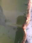Bild 4 von 9