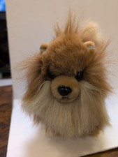 Aurora Plush Long Haired Pomeranian Dog 9  Excellent Condition And Super Fluffy