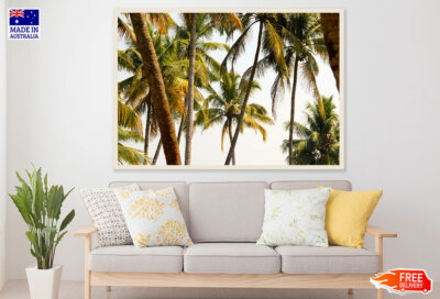 (Laminated) Palm Trees Closeup Photograph 91x61cm