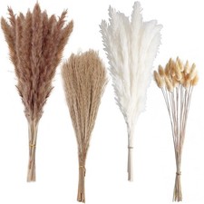 100 PCS Small Boho Pampas Grass, 17" Naturally Dried Pompas, Brown, White