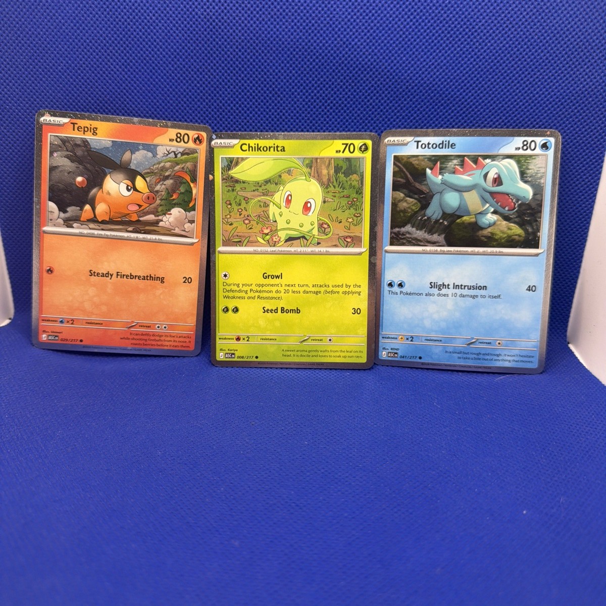 Pokemon Ascended Heroes Tepig Totodile Chikorita 3 STARTER Cosmos