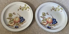 Vintage Midwinter Stonehenge Still Life Dinner Plates X 2