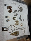 Lot Of Vintage Costume Jewelry Rhines, Sterling, Earrings, Necklace, Brooches