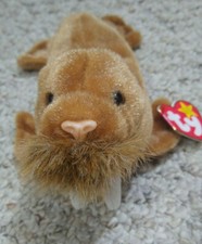 PAUL THE WALRUS ORIGINAL BEANIE BABIES TY RETIRED 1999 5th GENERATION