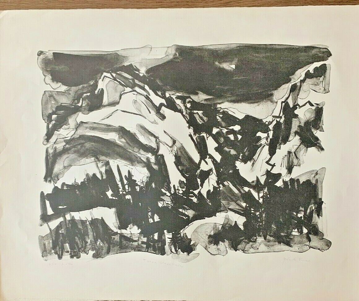 Foto 2 di 6