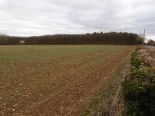 Photo 6x4 Trees covering Thistleton Ironstone mine Adit South Witham Acco c2017