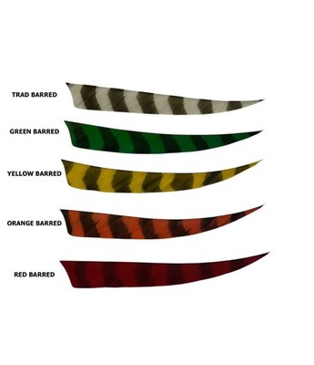 Trueflight 5'' Shield Cut LW or RW Barred Feathers - 1 Dozen