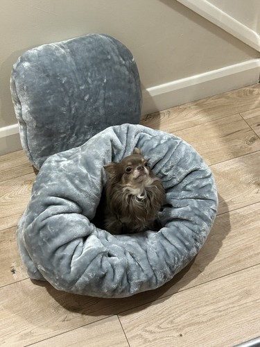 LUXURY FAUX FUR GREY SNUGGLE SACK PADDED BASE PET PUPPY BED DESIGNERPETS - Picture 10 of 10