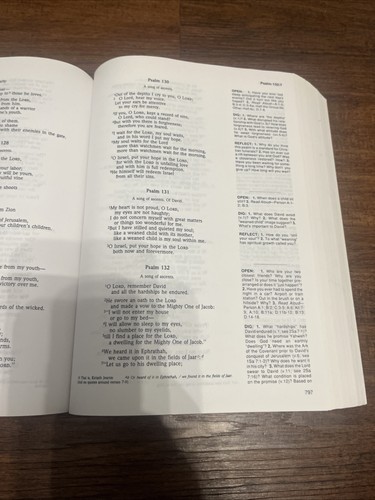 Serendipity Bible for Groups NIV 1st Edition 1988 - Picture 16 of 21