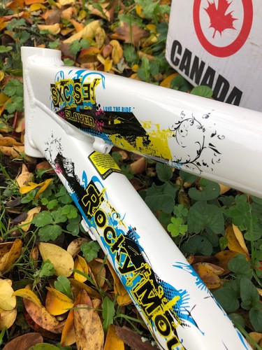 2009 ROCKY MOUNTAIN Slayer SXC SE 26" MOUNTAIN BIKE FRAME - 18" FRAME - NEW!  - Picture 8 of 19