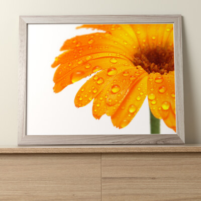 Blumen - schöne hübsche! : 10''x8'' professionelles Foto