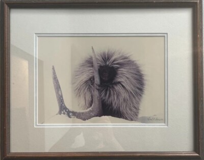Carl R Sams Wilelife Photographer Hand Signed in Pencil