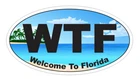 WTF Welcome to Florida Oval Bumper Sticker or Helmet Sticker Beach D7168