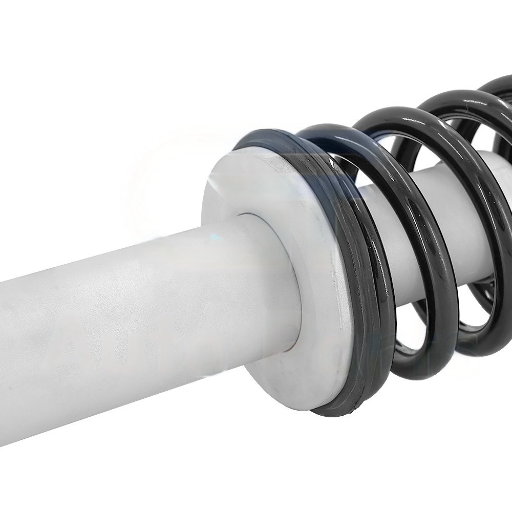 2 Front Shock Absorber Struts Fit Maserati Quattroporte M139 Sport 226147 248255
