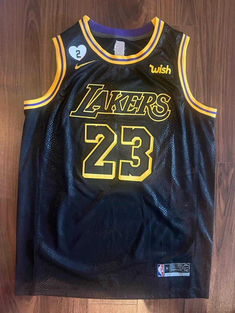 mamba lebron james jersey