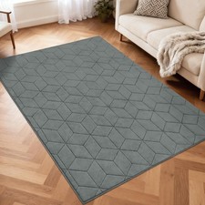 5x7 Area Rugs for Living Room, Soft Machine Washable Rug Non Slip, Stain Resi...