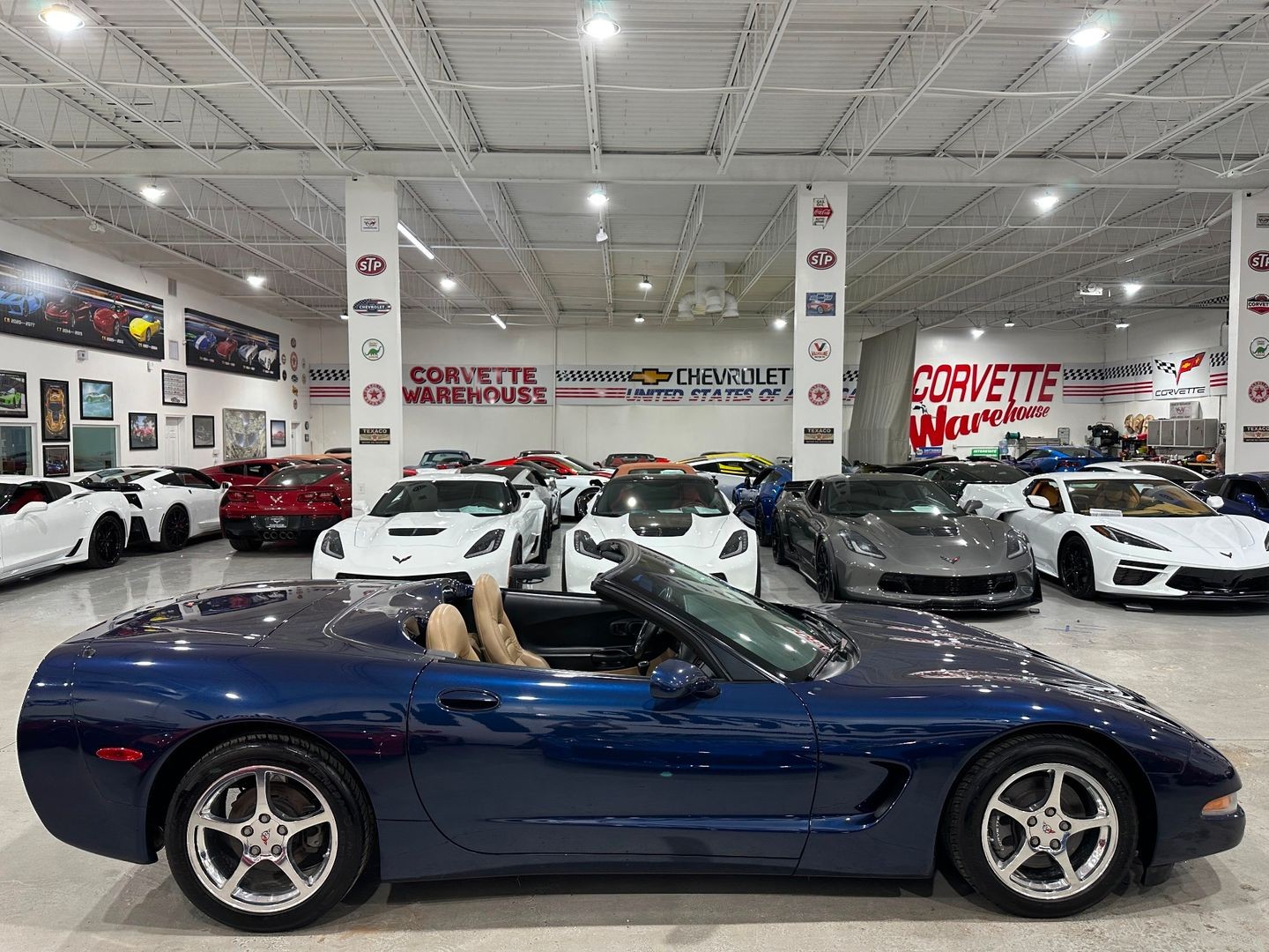 2001 [28U] Navy Blue Metallic Chevrolet Corvette   | C5 Corvette Photo 7