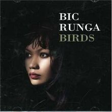 Birds von Runga, Bic | CD | Zustand sehr gut