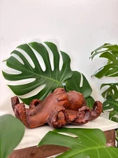Hawaii Hand Made Home Decor Solid Wood 12" Octopus Figure Carving