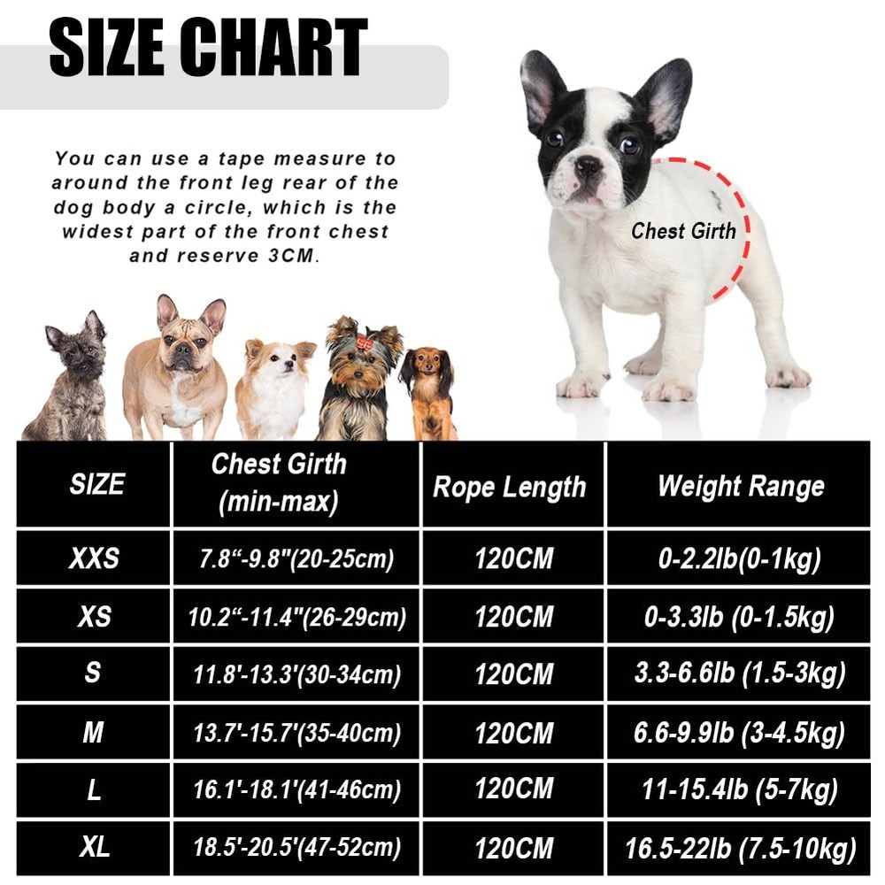 Dog Harness and Leash Set for Walking, Soft Mesh Adjustable Easy Control