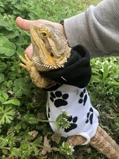 PAWS   PRINTS 1 XLRG SLEEVELESS BODY HOODIE SHIRT 4 UNISEX BEARDED DRAGON