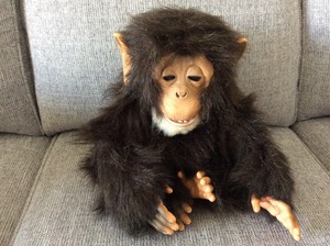 things to gift girlfriend on her birthday