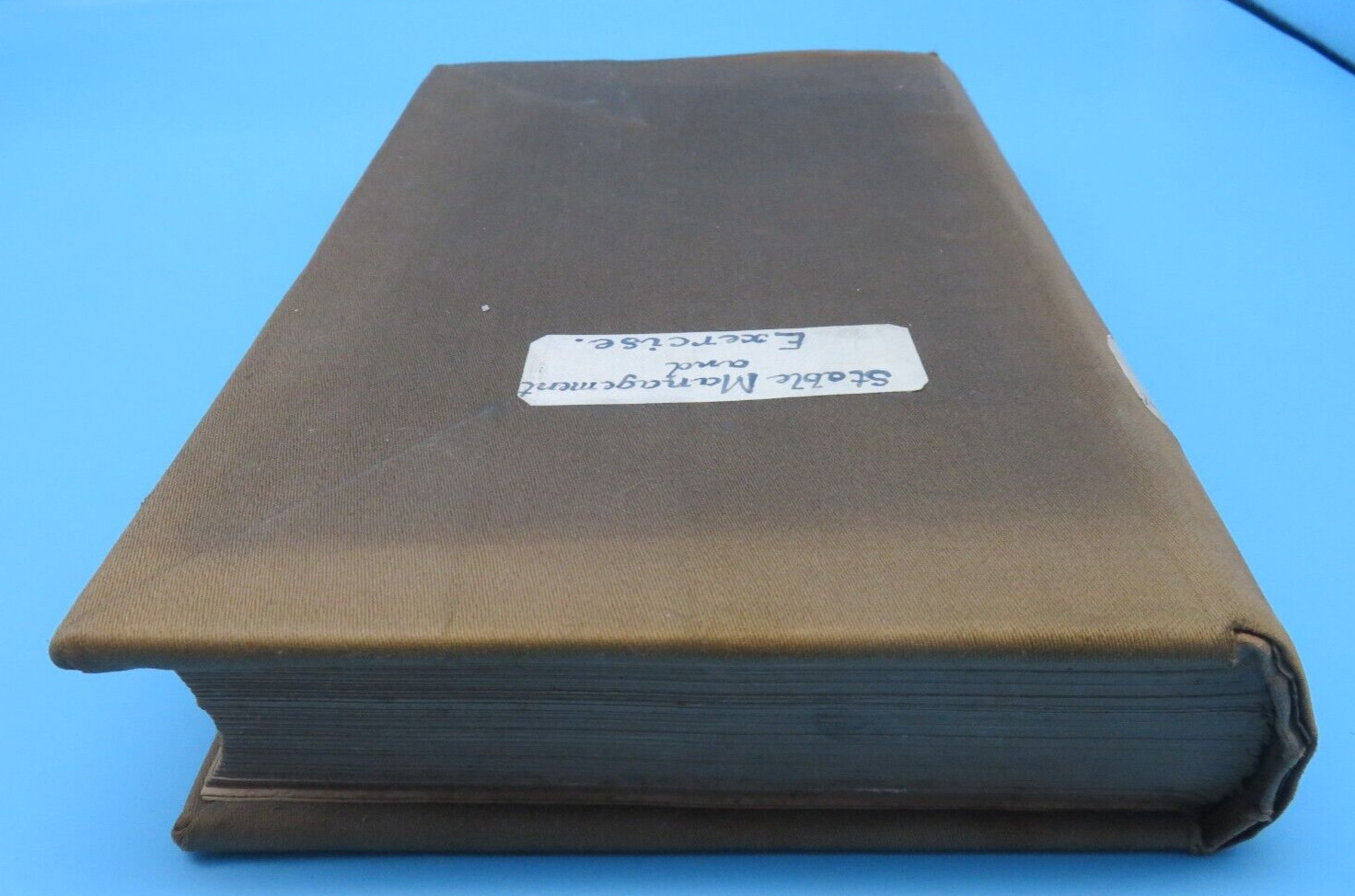 Stable Management And Exercise M Horace Hayes HB 2nd Ed 1909 Hurst And Blackett