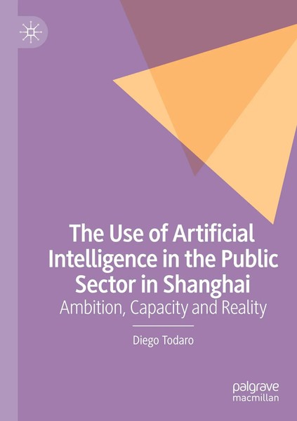 Diego Todaro | The Use Of Artificial Intelligence In The Public Sector In...-image