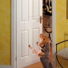 In hand Clear Pet Door Scratch Protector 43 Long x 17" Wide, Transparent
