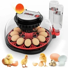 12 Egg Incubator with Automatic Egg Turning and Humidity Control,Intelligent Egg