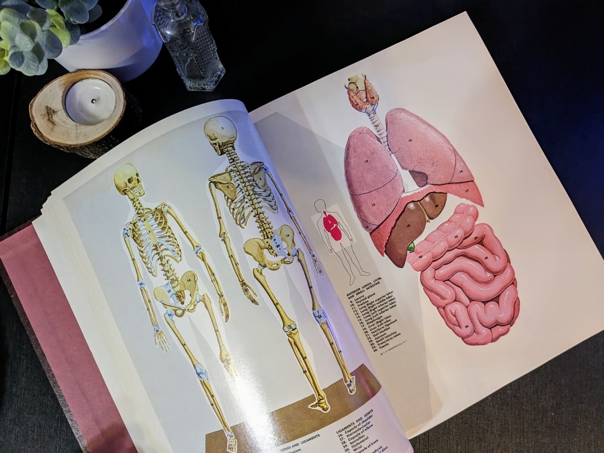 1989 The Medical and Health Encyclopedia, Volume 1 9780894340987| eBay