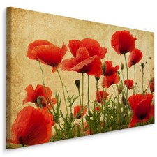 Canvas Picture CANVAS WALL ART XXL Dining Room Wild POPPIES Style Vintage 1723