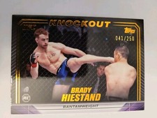 2024 Topps UFC Knockout #54 Brady Hiestand 41/250 Rookie Card *corner Ding*