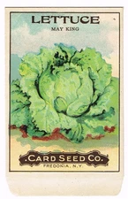 VINTAGE CARD SEED PACKET FLOWERS C1910 GENERAL STORE GARDEN NEW YORK LETTUCE 2
