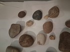 rock collection lot — photo 5