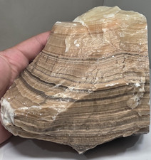 5,19 libbre 5,5" esemplare di lastra grezza onice messicana a fascia naturale calcite messicana #Q