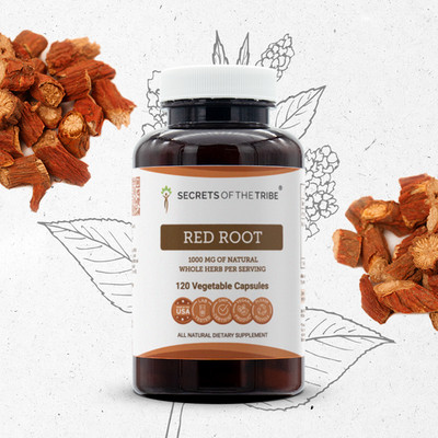 Secrets Of The Tribe Red Root Capsules, 500 mg