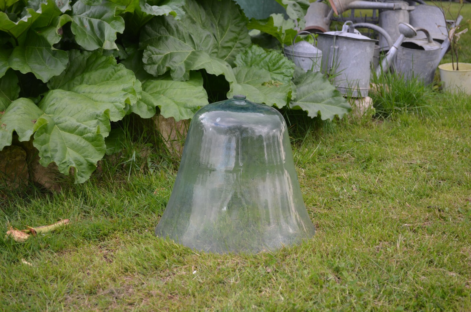 Cloche Verre Jardin d’occasion