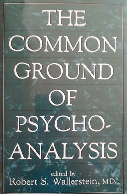 The Common Ground of Psychoanalysis - Robert Wallerstein Psychoanalyse Buch