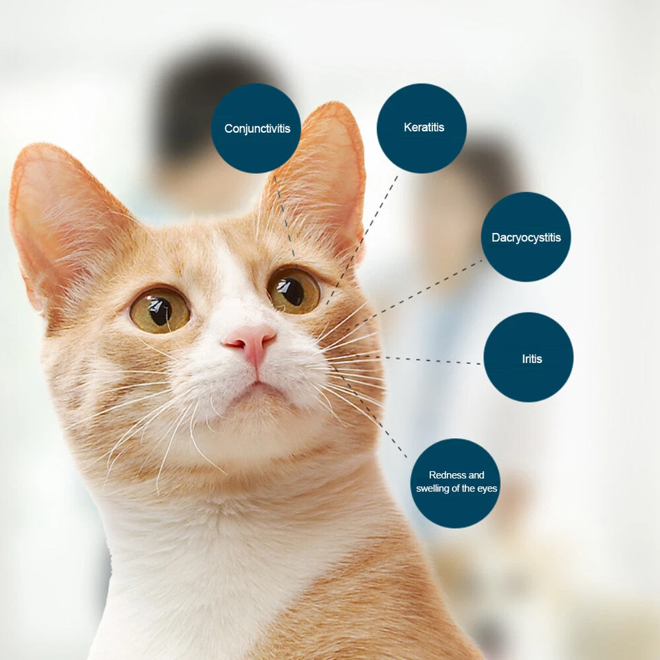 1-5PCS Pet Cat Dog Eye Ointment Pet Eye Ointment Corneal Inflammation Eye Ointme - Image 4 of 4