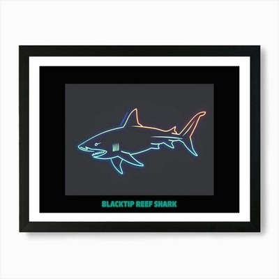 Neon Schwarzspitze Riffhai 4 Poster A gerahmtes Wandbild Poster Leinwanddruck Bild