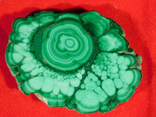 Polished Cave Malachite Stalagmite Or Stalactite Slice Or Slab Congo 24.3gr