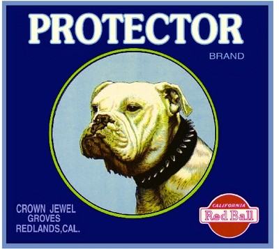 Redlands Protector Bulldog Dog Orange Citrus Fruit Crate Label Art Print